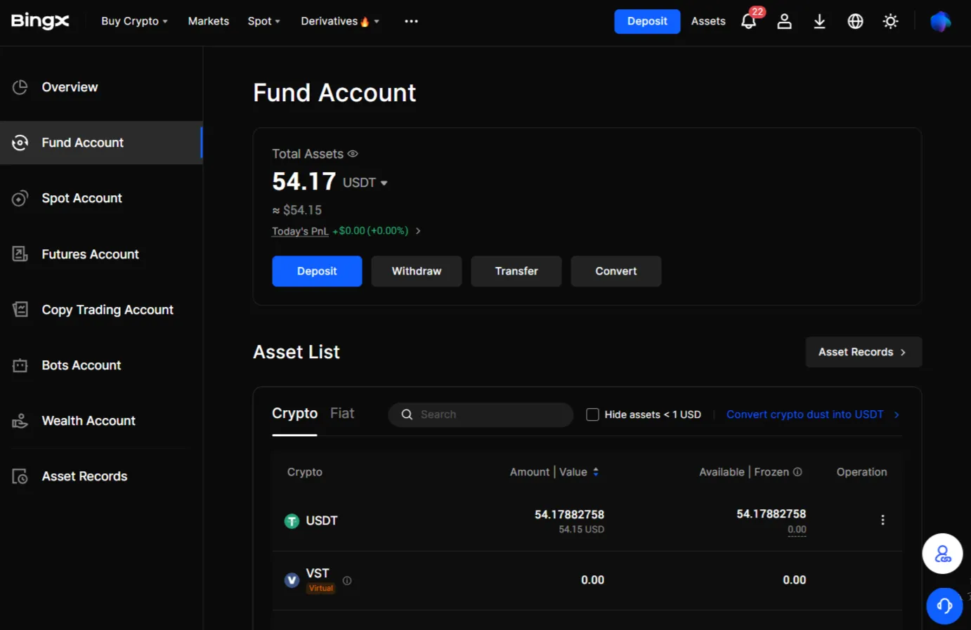 BingX Asset overview
