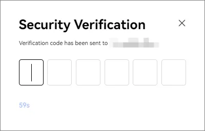 Security verification